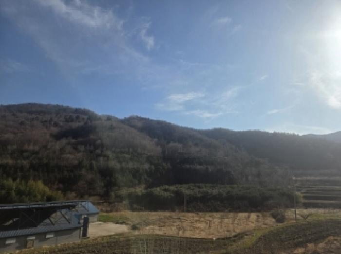 순천시 별량면 대룡리 임야 경매 물건 사진