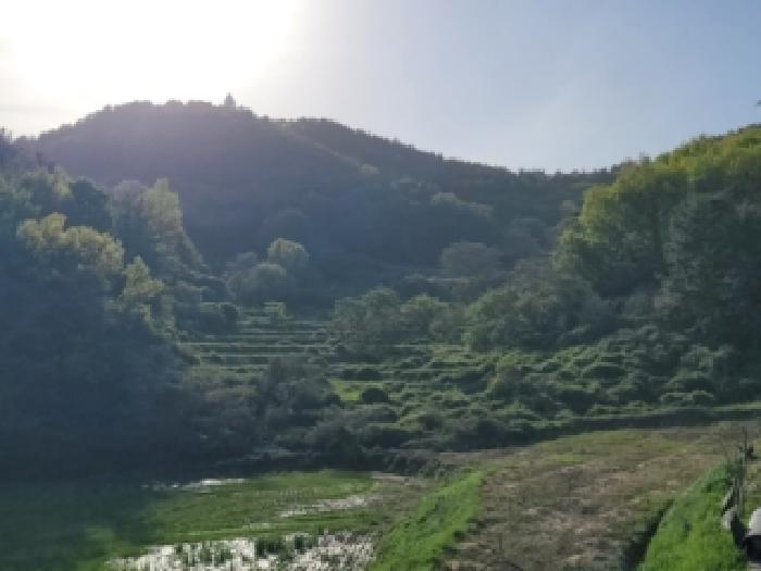 고흥군 도양읍 용정리 전답 경매 물건 사진