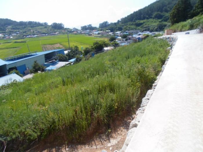 완도군 약산면 우두리 전 경매 물건 사진