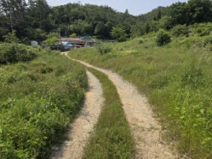 완도군 완도읍 가용리 대지 경매 물건 사진