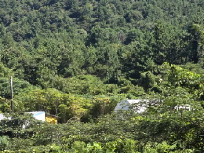 완도군 약산면 장용리 답 경매 물건 사진