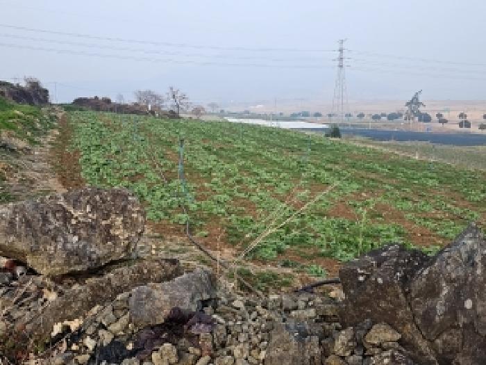 해남군 화원면 청용리 전 경매 물건 사진