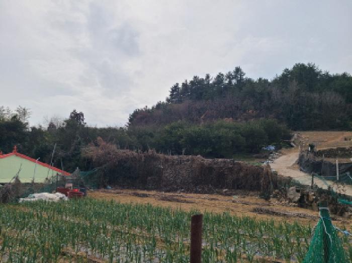 완도군 금일읍 신구리 전 경매 물건 사진