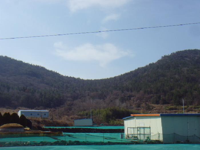 완도군 생일면 유서리 임야 경매 물건 사진