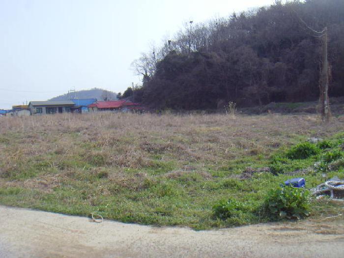 진도군 고군면 지막리 답 경매 물건 사진