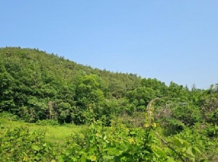 해남군 마산면 상등리 임야 경매 물건 사진