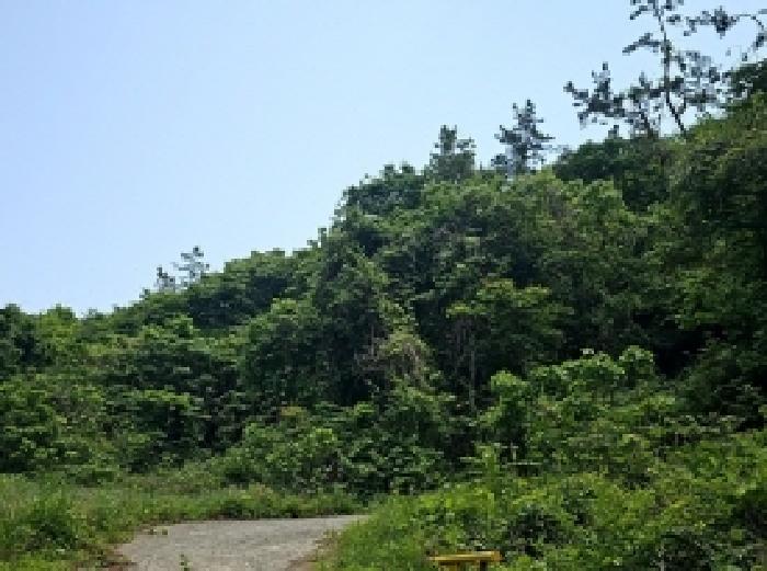 진도군 진도읍 포산리 답 경매 물건 사진