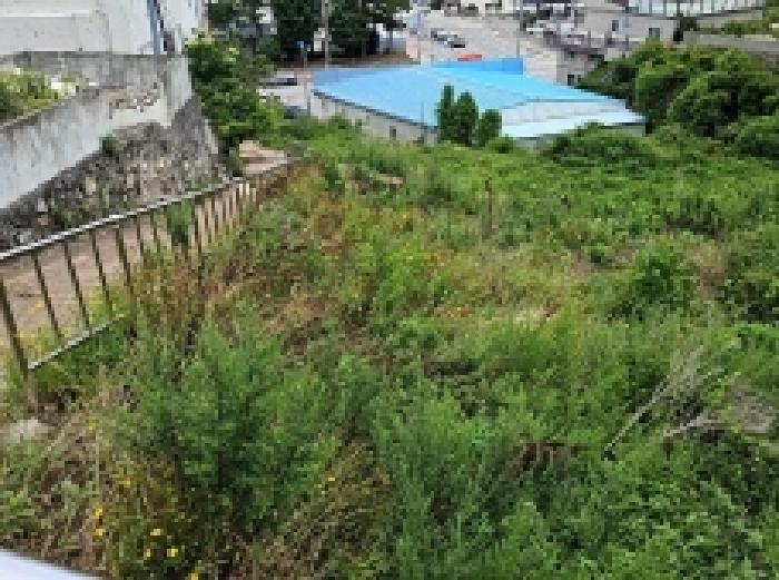 완도군 완도읍 군내리 전답 경매 물건 사진