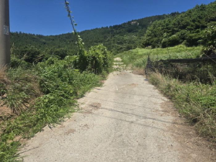 완도군 청산면 읍리 도로 경매 물건 사진