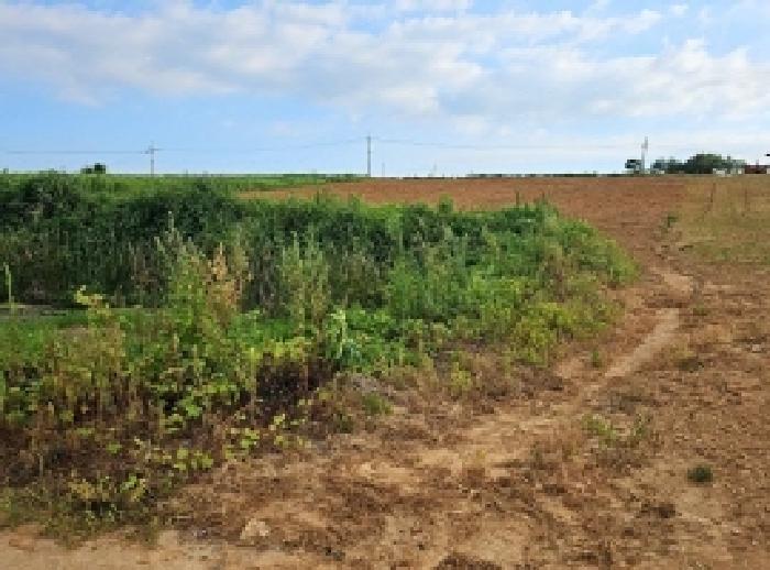 해남군 마산면 학의리 임야 경매 물건 사진