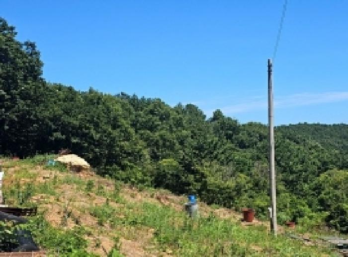 완도군 완도읍 망석리 전답 경매 물건 사진