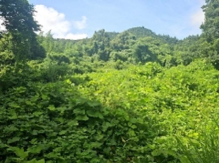 해남군 화원면 장춘리 전답 경매 물건 사진