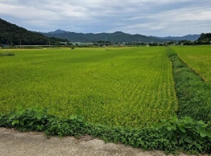 해남군 옥천면 신계리 전답 경매 물건 사진