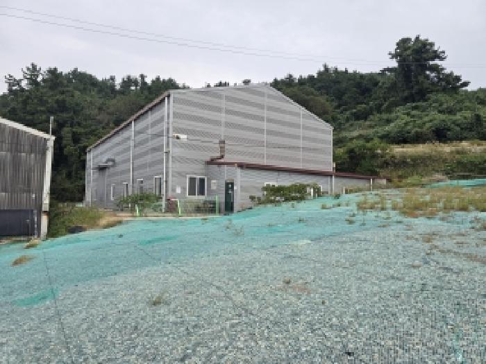 완도군 금일읍 장정리 근린생활시설 경매 물건 사진
