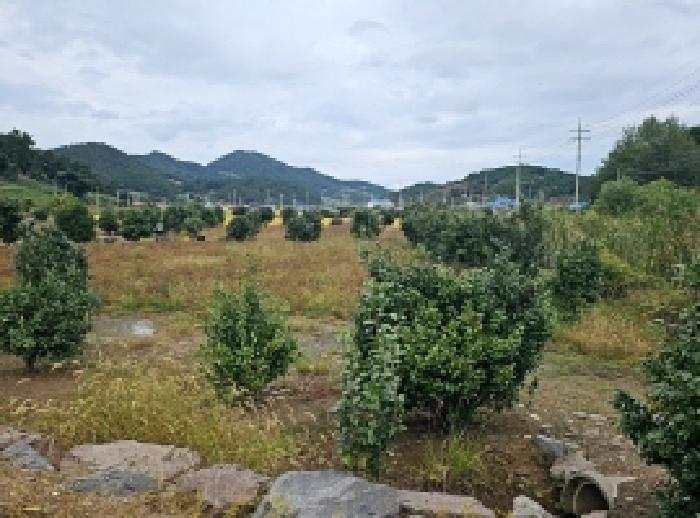 진도군 진도읍 포산리 전답 경매 물건 사진