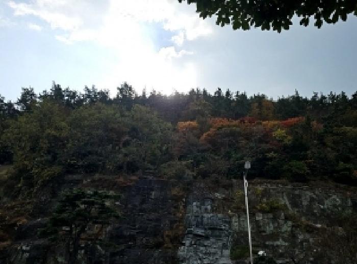 완도군 완도읍 군내리 임야 경매 물건 사진