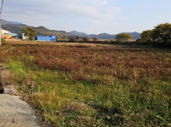 해남군 현산면 고현리 임야 경매 물건 사진