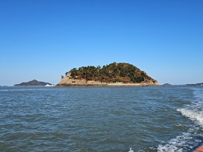진도군 진도읍 산월리 임야 경매 물건 사진