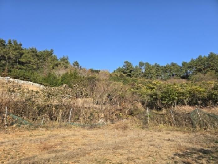 완도군 노화읍 충도리 전 경매 물건 사진