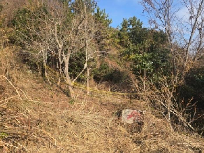 완도군 청산면 상동리 임야 경매 물건 사진