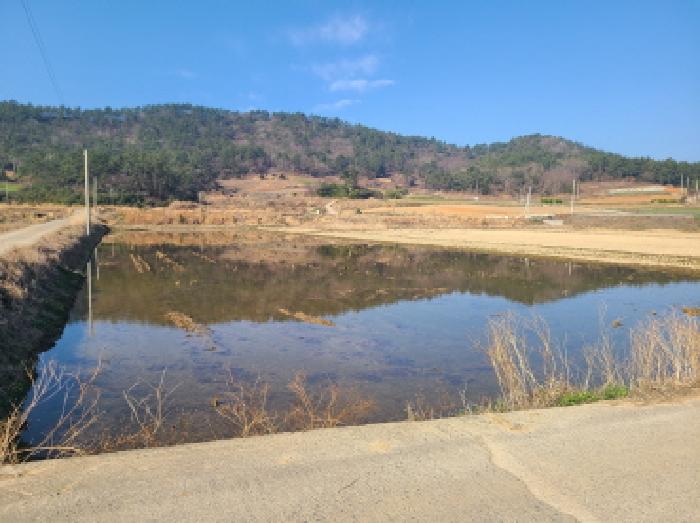 진도군 군내면 덕병리 전답 경매 물건 사진