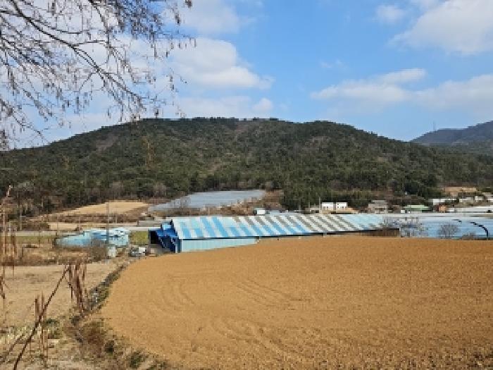 해남군 화원면 후산리 임야 경매 물건 사진