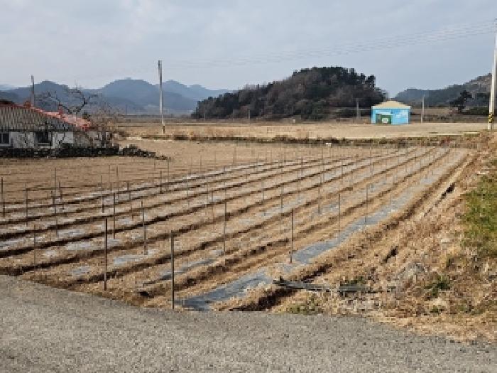 진도군 의신면 옥대리 전답 경매 물건 사진