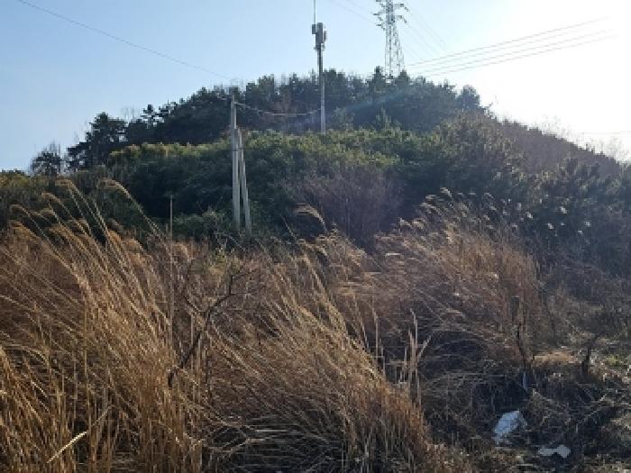 해남군 화원면 성산리 전답 경매 물건 사진