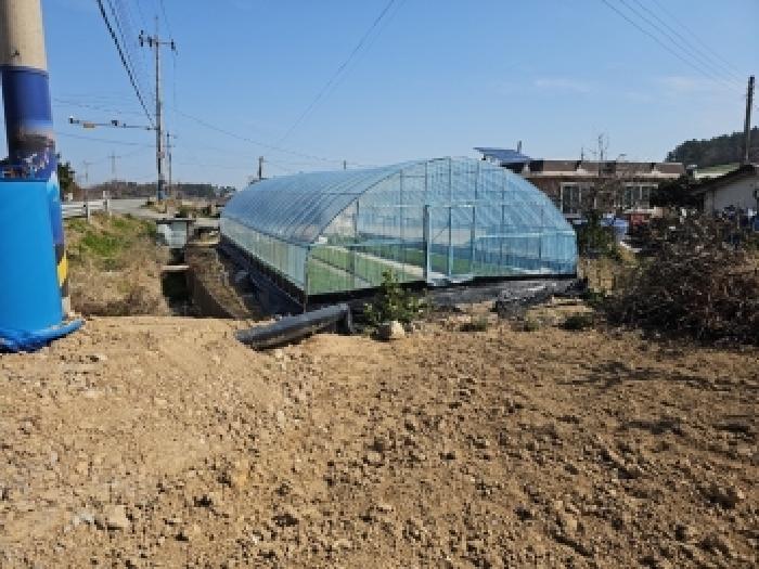 진도군 군내면 녹진리 답 경매 물건 사진
