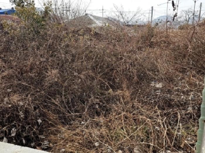진도군 의신면 옥대리 대지 경매 물건 사진