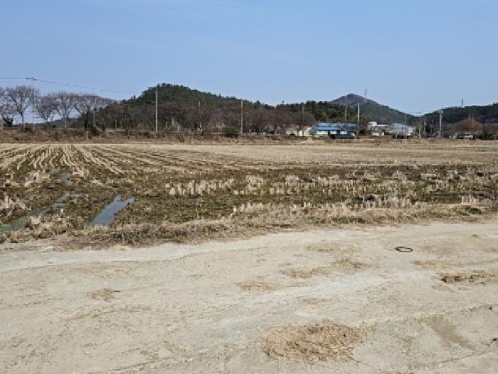 해남군 황산면 관춘리 전답 경매 물건 사진