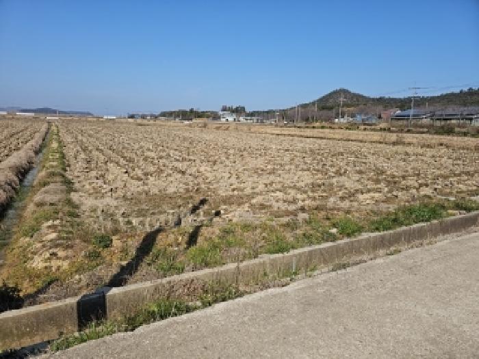 진도군 군내면 덕병리 전답 경매 물건 사진