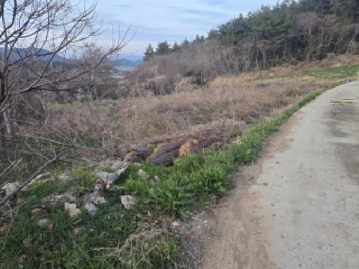 완도군 고금면 덕암리 대지,임야,전답 경매 물건 사진