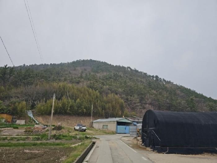 해남군 삼산면 봉학리 임야 경매 물건 사진