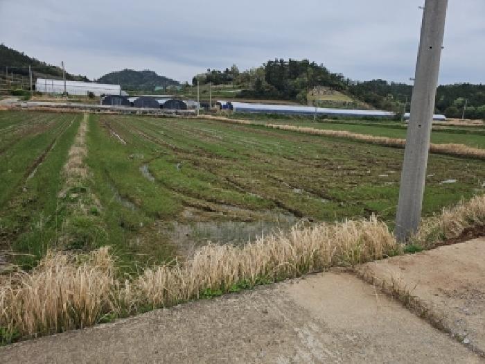 진도군 지산면 보전리 전답 경매 물건 사진