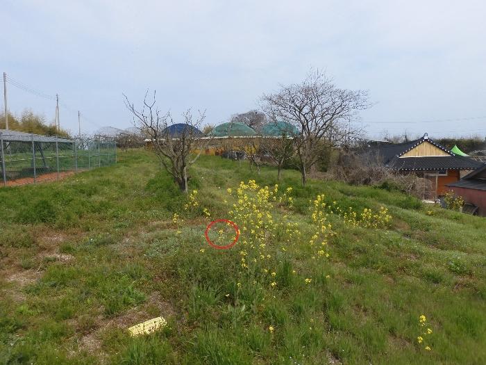 김제시 성덕면 대목리 전 경매 물건 사진