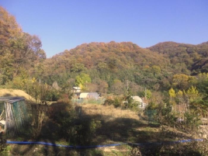 완주군 구이면 안덕리 전답 경매 물건 사진