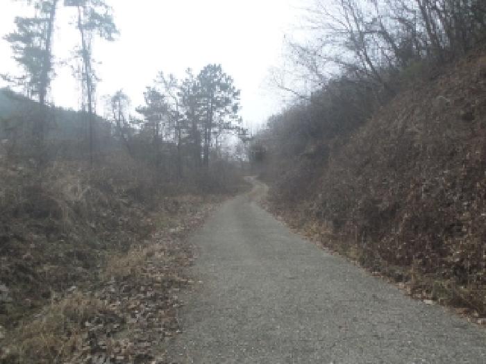 진안군 성수면 좌산리 임야 경매 물건 사진