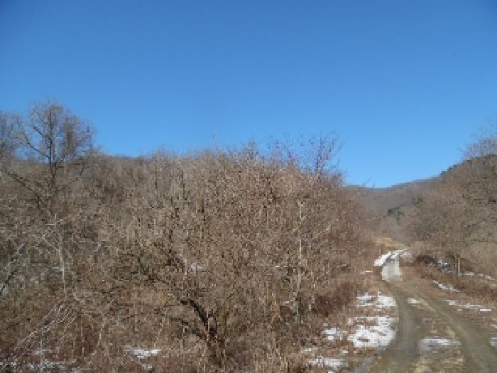 진안군 성수면 용포리 임야 경매 물건 사진