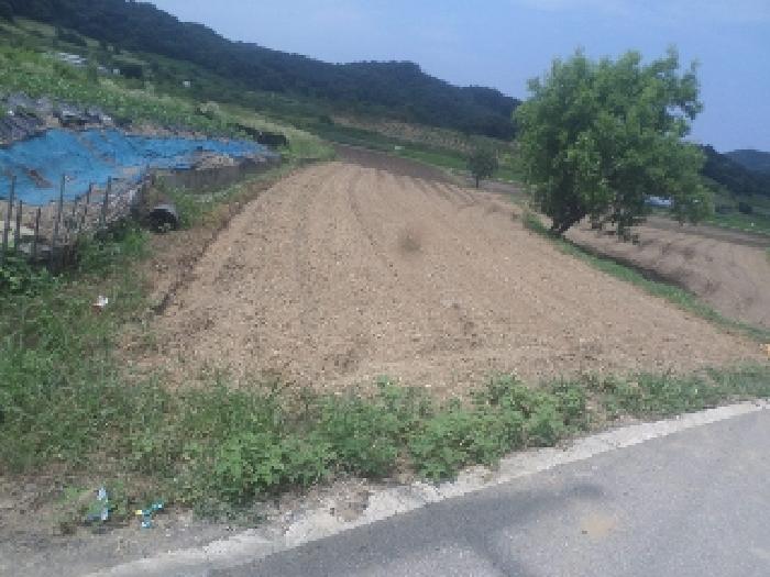 임실군 신평면 덕암리 답 경매 물건 사진