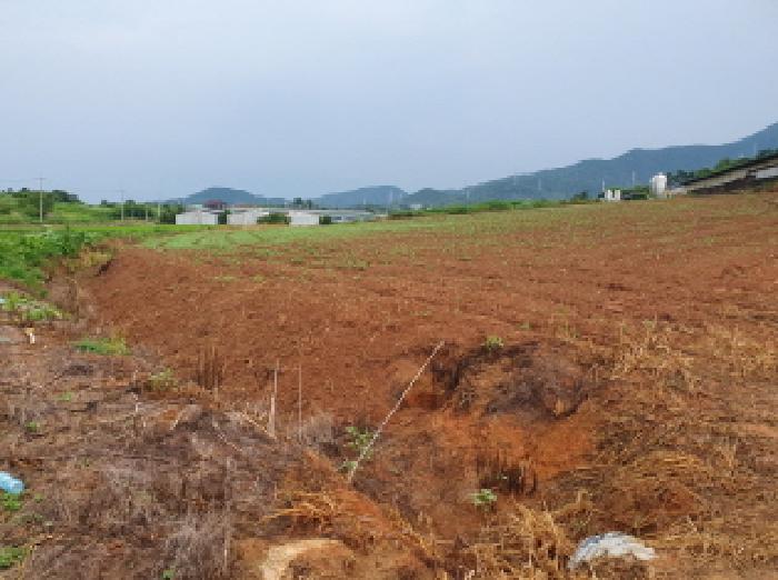 김제시 금산면 용산리 목장용지 경매 물건 사진