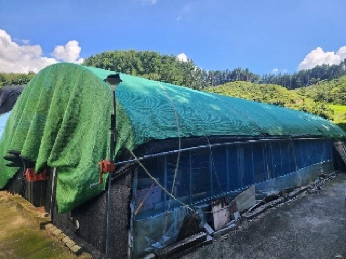 무주군 안성면 죽천리 전 경매 물건 사진