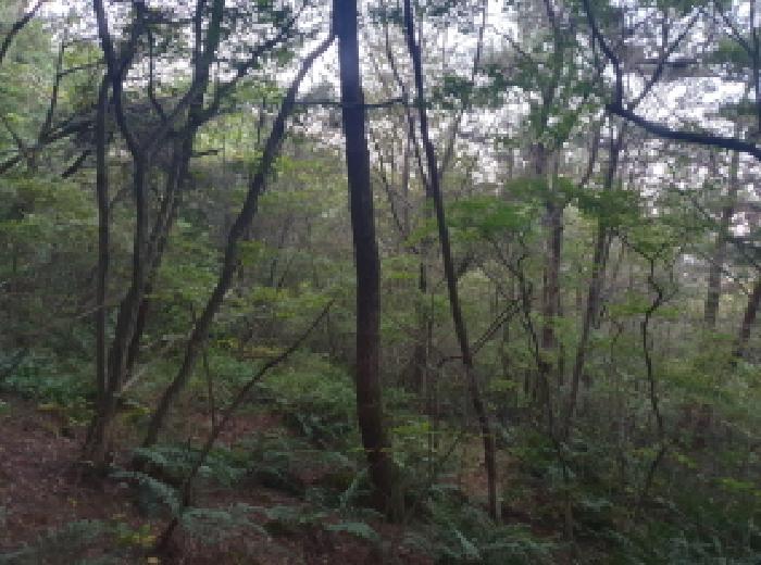 김제시 진봉면 심포리 전답 경매 물건 사진
