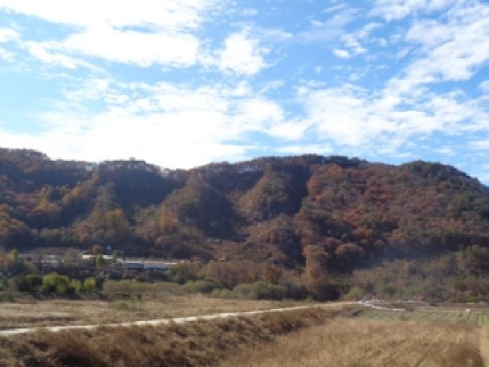 진안군 동향면 성산리 임야 경매 물건 사진