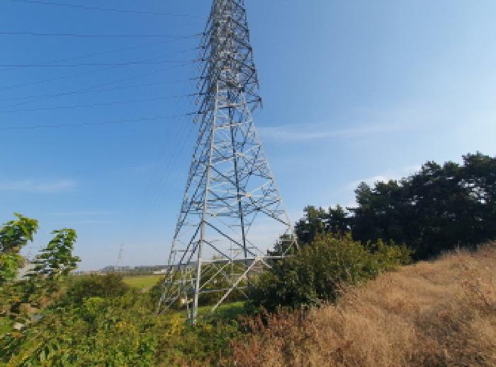 김제시 백산면 하정리 전답 경매 물건 사진