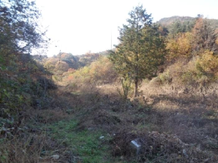 완주군 운주면 장선리 전 경매 물건 사진