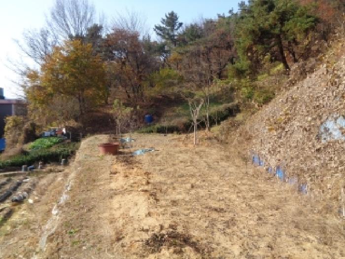 전주시 완산구 평화동1가 임야 경매 물건 사진