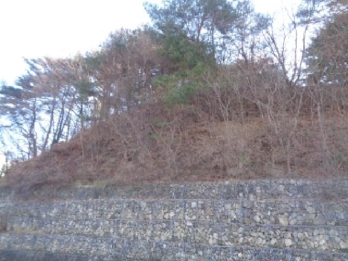무주군 설천면 심곡리 임야 경매 물건 사진