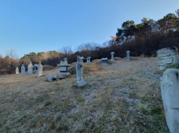 전주시 덕진구 여의동 단독주택다가구 경매 물건 사진