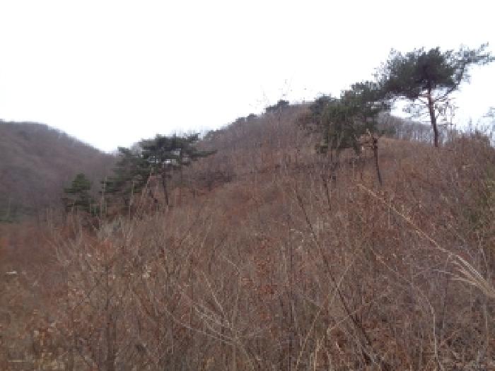 완주군 동상면 사봉리 임야 경매 물건 사진